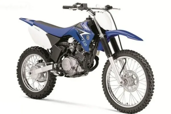 2010 Znen ZN 125-21