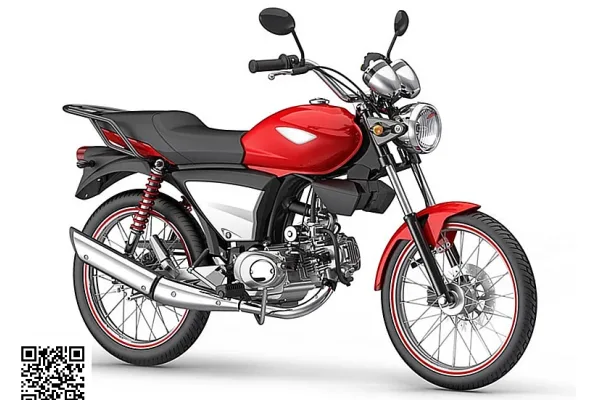 2011 Dafra Super 100