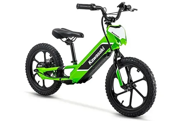 2024 Kawasaki Elektrode