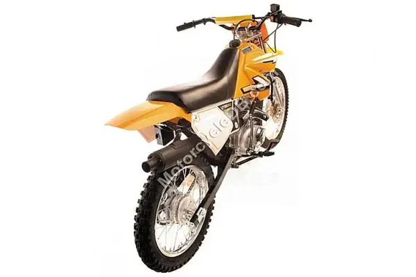 2011 Lifan Chimp 100