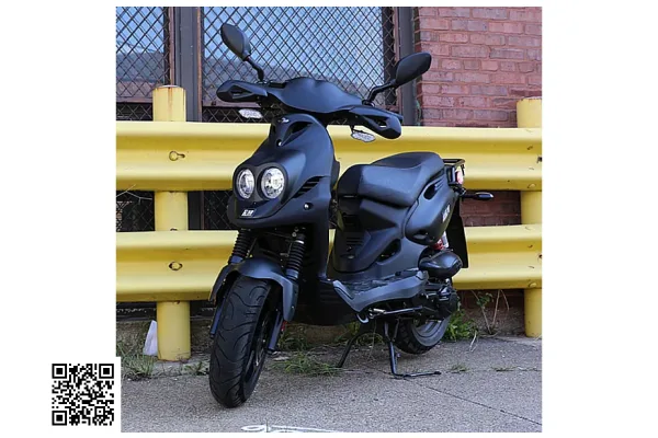 2011 PGO PMS Sport 110
