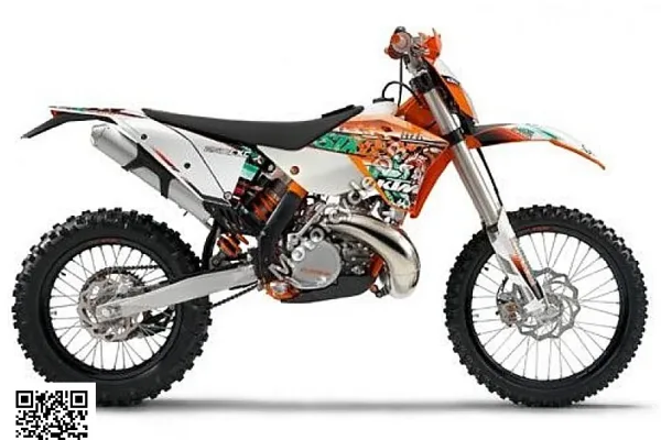 2011 Puma Rottaler 250 Cross
