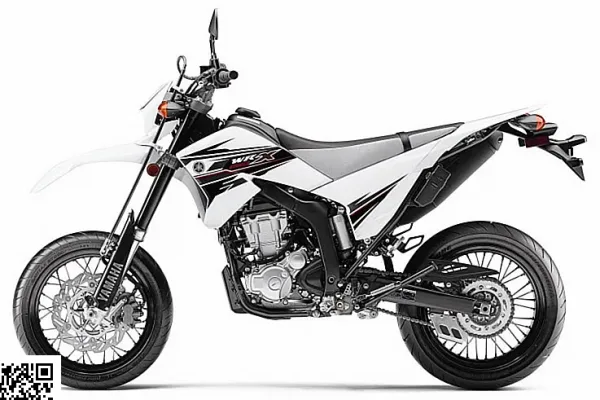 2011 Puma Rottaler 250 Motard