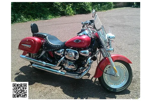 2011 Qlink Tourer 250