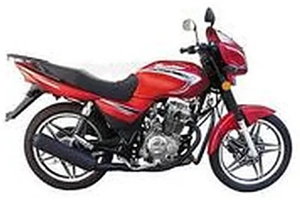 2011 Vibgyor Hunter 125