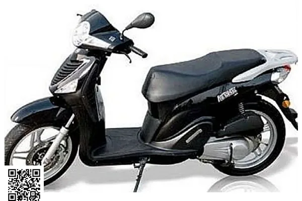 2011 WT Motors Jungle 125