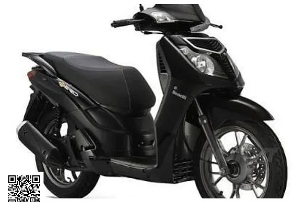 2011 WT Motors Jungle 150