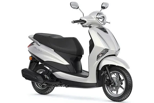 2019 Yamaha Delight