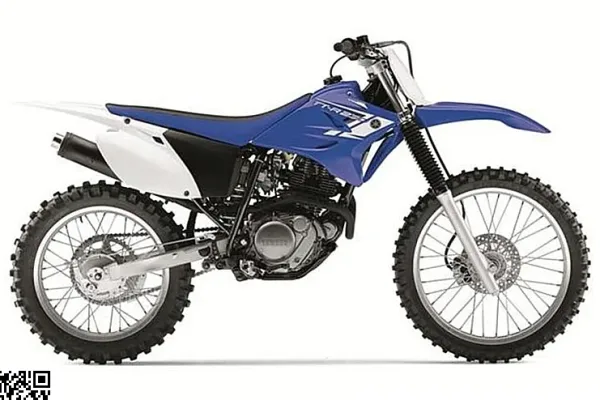 2013 Yamaha TT-R230