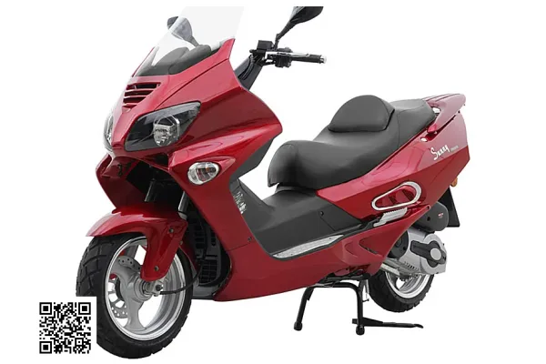 2011 Zest Z300T-1