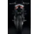 Ducati Streetfighter V4 SP2 2023 59458 Thumb