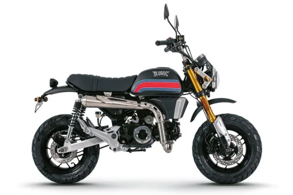 2026 Bluroc X Bongo 125