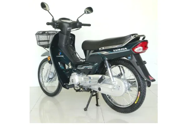 2025 Luojia LJ125-12